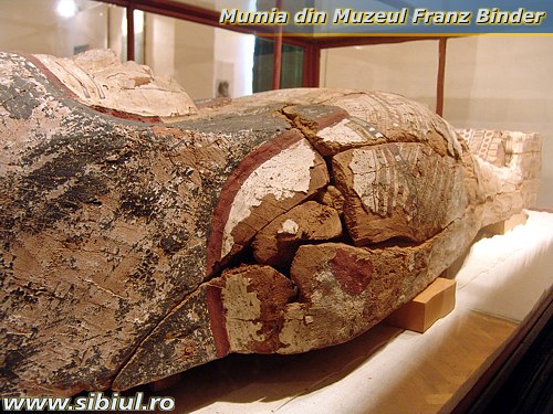 mumia-din-muzeul-franz-binder-sibiu-sarcofag.jpg