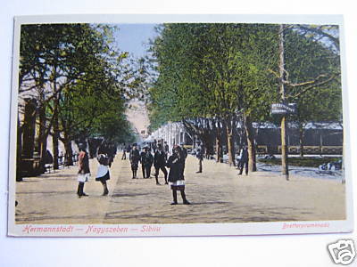 f90d_1.Hermannstadt.1915.Bretterpromenade mit Restaurant.Stadtpark.JPG