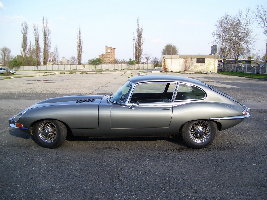 05.Jaguar..jpg