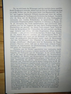 Fabritius-Dancu.Spaziergang Alt-Hermannstadt.Kempel und Rosenanger.jpg