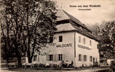 Goldtaler Ferienheim. Der Waldcafé.Cabana Valea Aurie.jpg