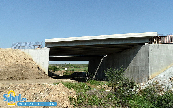 Autostrada A1 / Pod peste Valea Salciei / Km 80 + 410