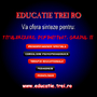 www.educatie.trei.ro - Sinteze psihopedagogie, consiliere, terapie, pedagogie, psihologie