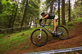 Campionatul National de Mountain Bike Cross Country / Paltinis 2013