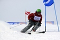 Cupa de ski a Consulatului Austriei la Sibiu Liqui Moly 2012