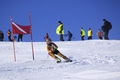 Cupa de Ski Arena Copiilor Etapa 1 - Paltinis 2012
