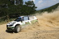 Sibiu Rally ERC 2013 - Crinti 1
