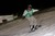 MountXride Schi si Snowboard 2010