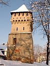 Turnul Olarilor